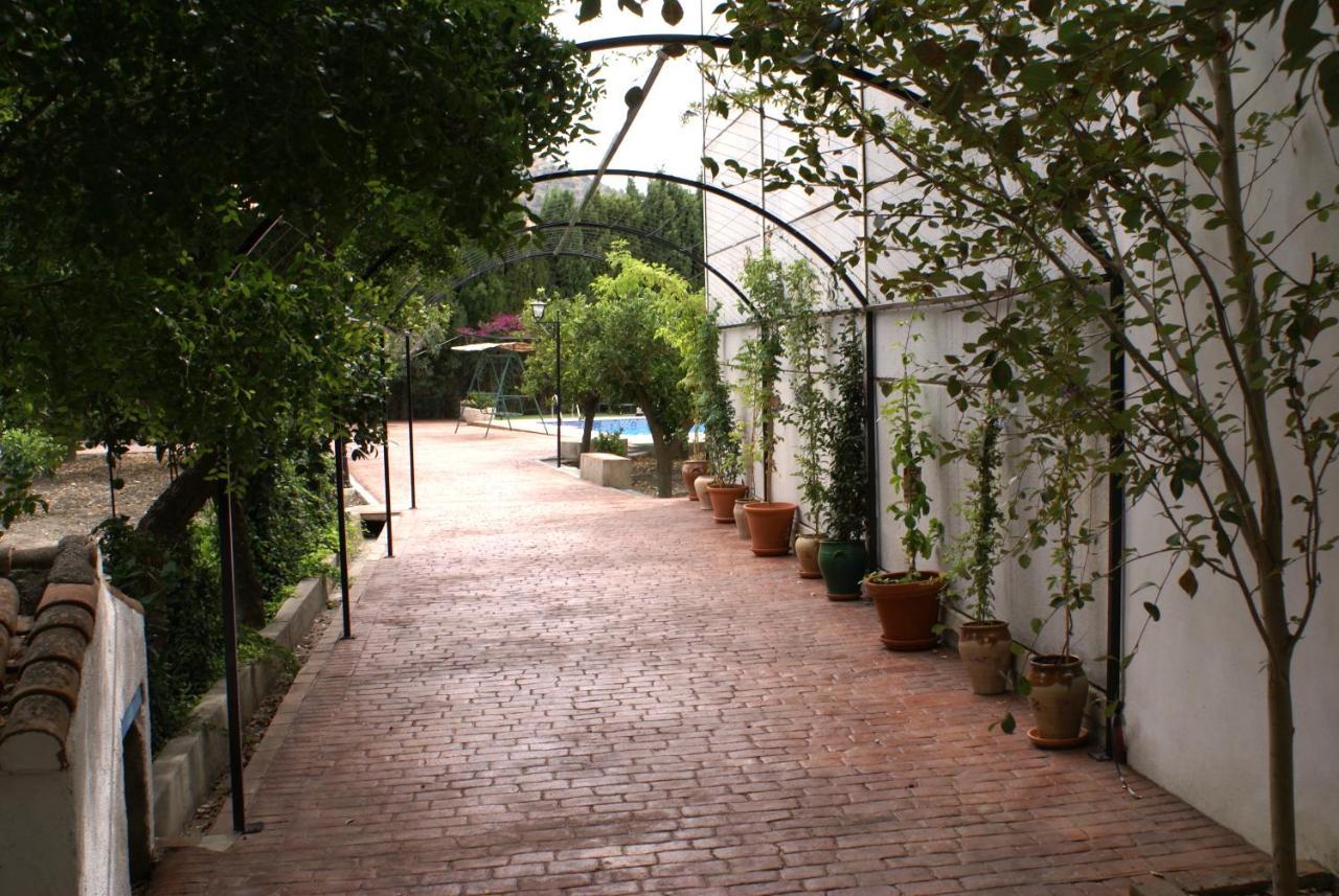La Canota King Rooms Adults Only Talara Esterno foto