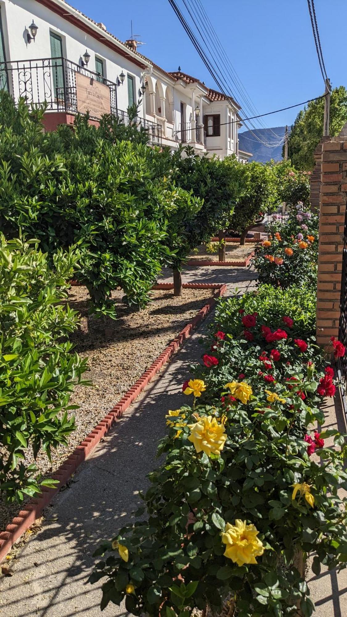 La Canota King Rooms Adults Only Talara Esterno foto